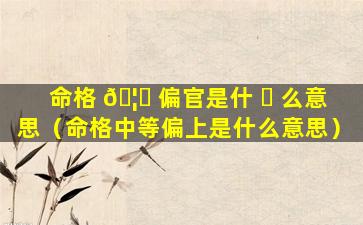 命格 🦈 偏官是什 ☘ 么意思（命格中等偏上是什么意思）